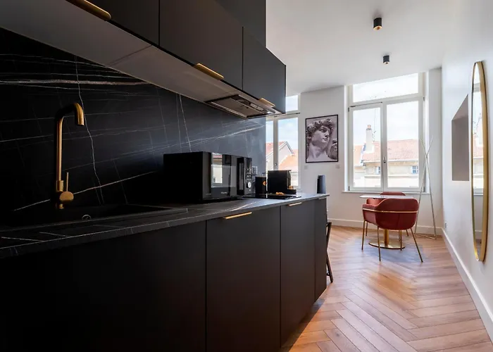 Apartment Les Perchoirs De Stanislas 2 - De Standing Hyper Centre