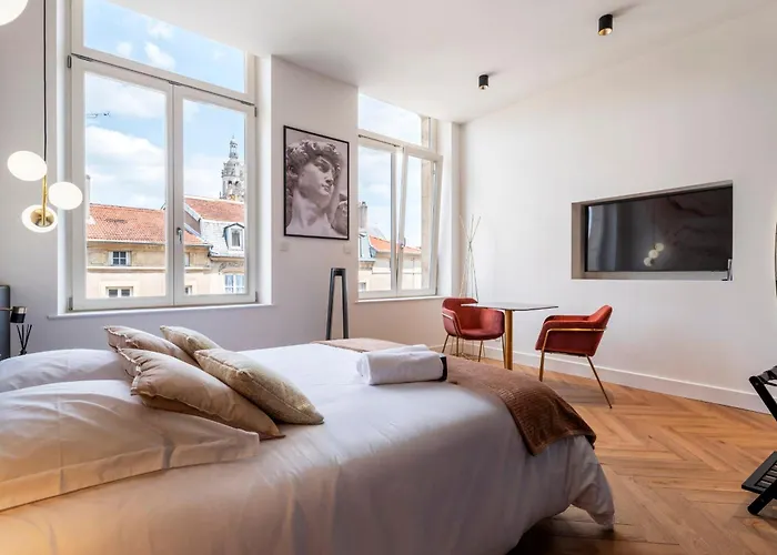 Les Perchoirs De Stanislas 2 - De Standing Hyper Centre Apartment Nancy